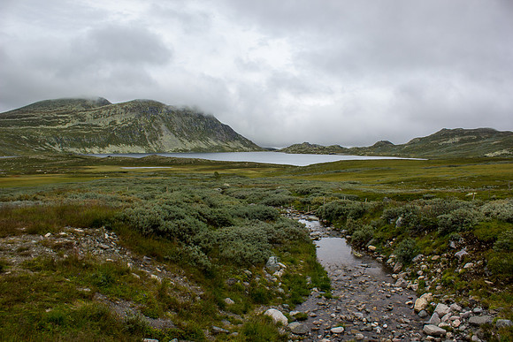 Norwegian Countryside