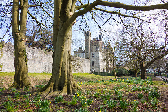Cardiff Castle